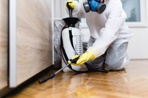 Trusted Woodstock, GA Pest Control Experts