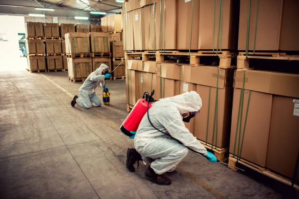 Best Pest Removal Services  in Woodstock, GA