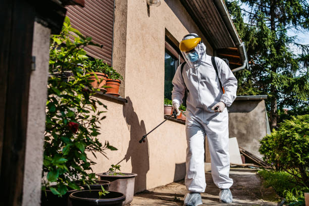 Best Exterminator Services  in Woodstock, GA