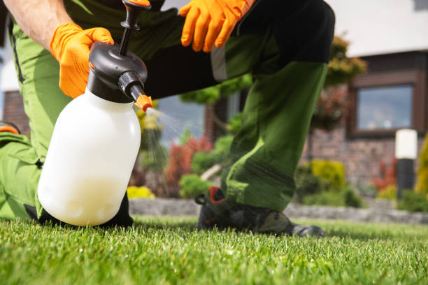 Best Residential Pest Control  in Woodstock, GA