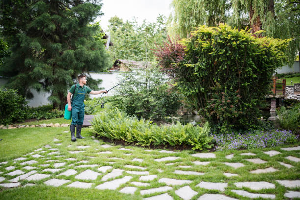 Best Best Pest Control Companies  in Woodstock, GA