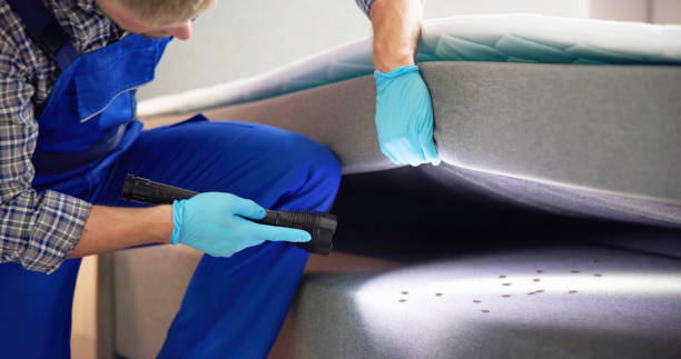 Best Cockroach Control Services  in Woodstock, GA