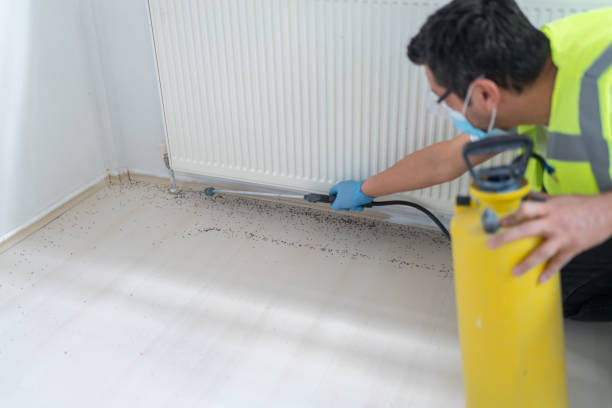 Best Affordable Pest Control Services  in Woodstock, GA