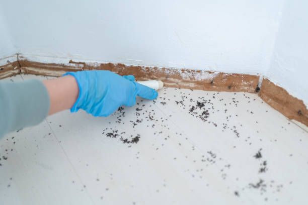 Best Wildlife Control Services  in Woodstock, GA